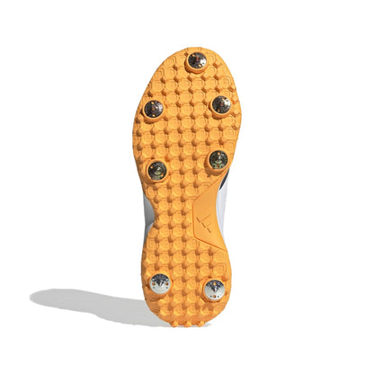 Howzat Cricket Spikes